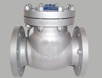 Non Return Valve